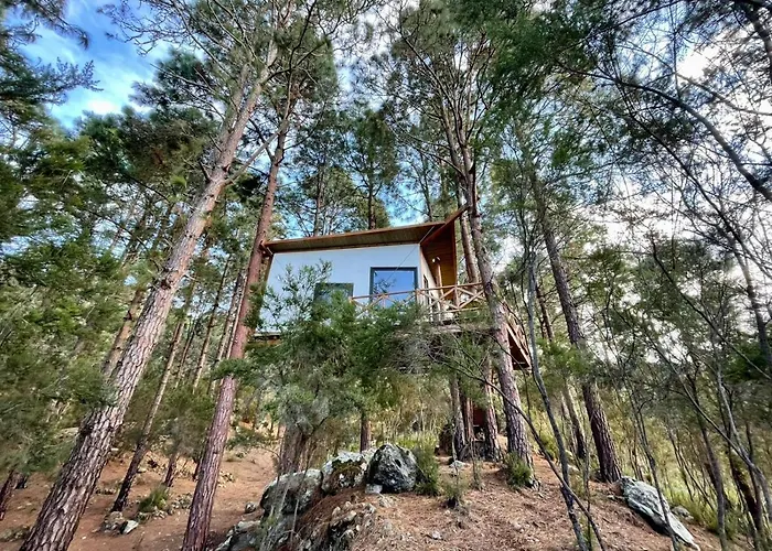 Casita Colgada \