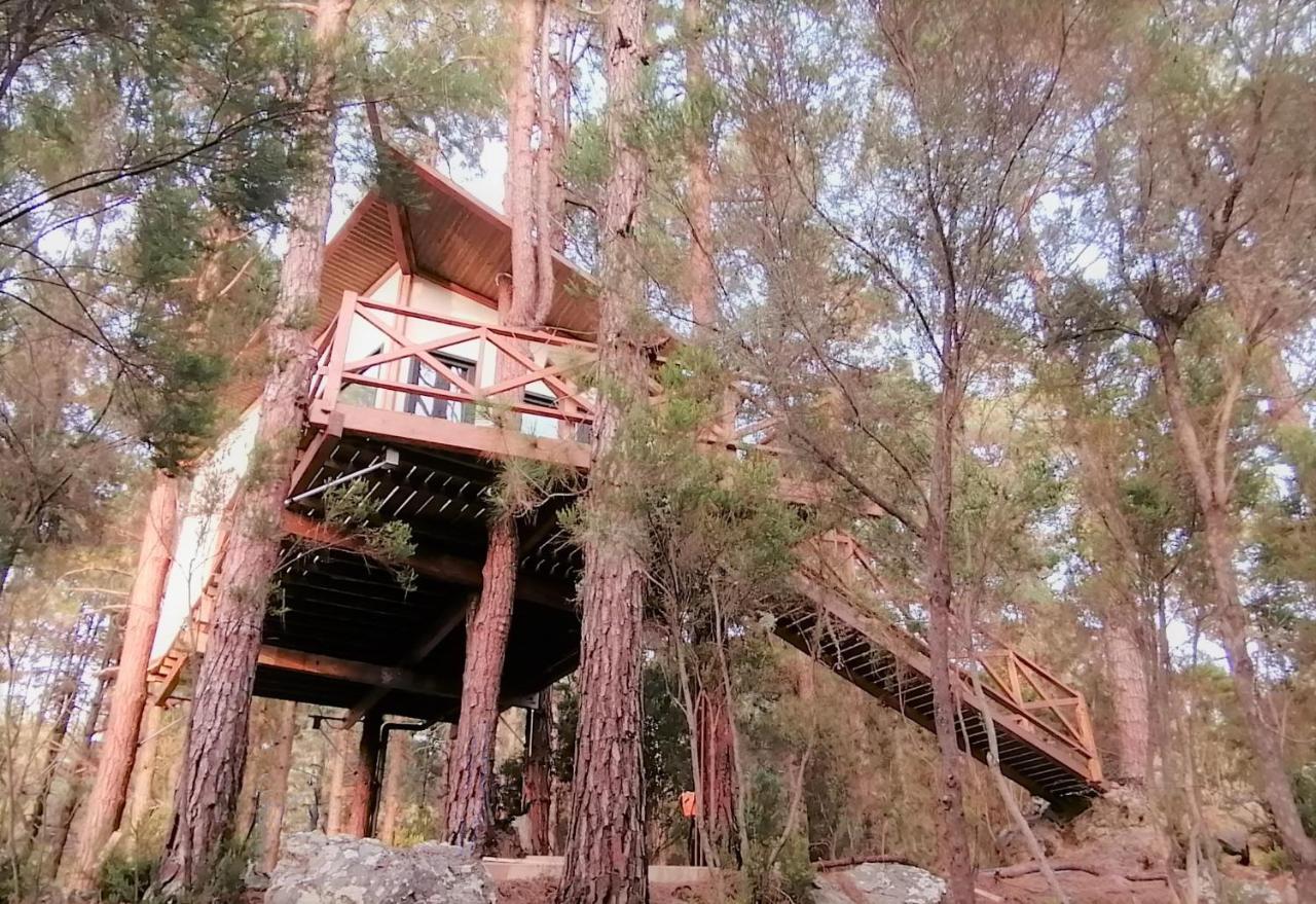 Vakantiehuis Casita Colgada 