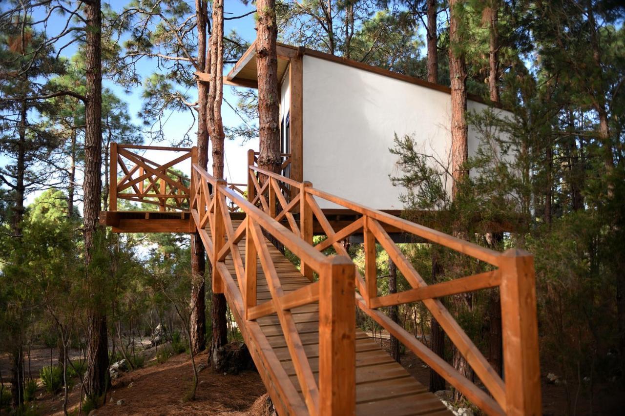 Casita Colgada 